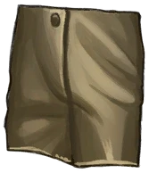 Canvas Shorts