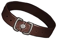 Ringclasp Belt