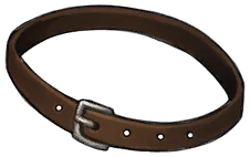 Simple Leather Belt