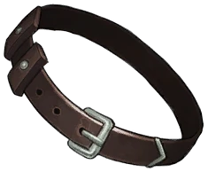 Sturdy Buckled Belt