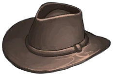 Wanderer's Brimmed Hat