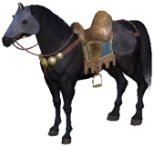 Dark Horse