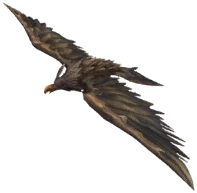 Dune Eagle