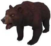 Grizzly Bear