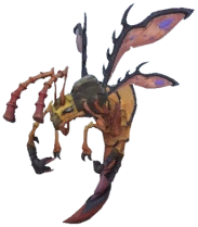 Sand Wasp