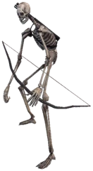 Skeleton Warrior