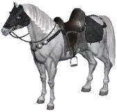 White Horse
